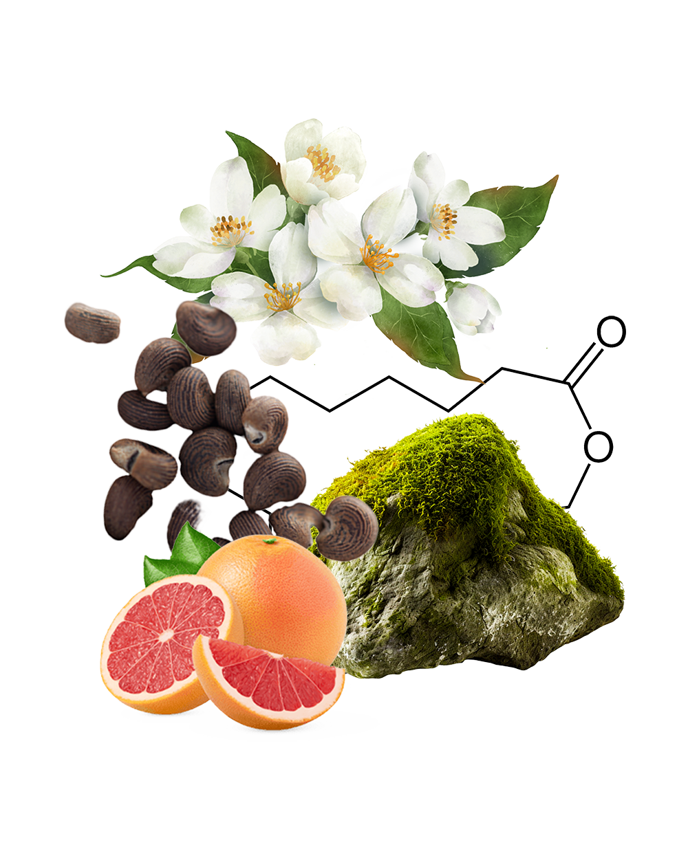 ANOTHER ONE - limited edition